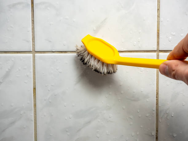 Best Black Mold Removal  in New Hyde Park, NY