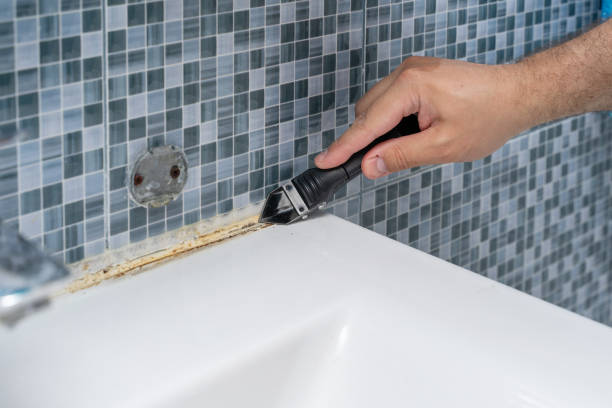 Best Mold Removal Near Me  in New Hyde Park, NY